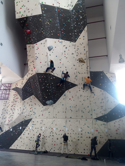 Imagen de Escalada: Roca y Rocódromo